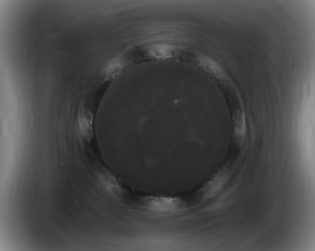 X0000085220332200703091205
