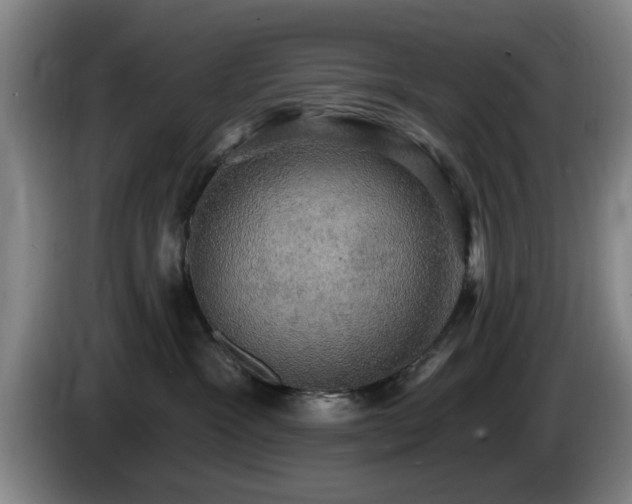 X0000085220333200703091205