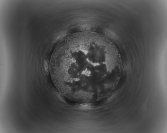 X0000085220335200703091205