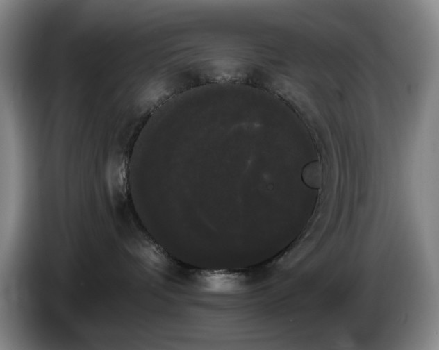 X0000085220336200703091205