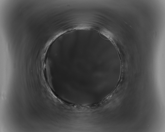 X0000085220337200703091205
