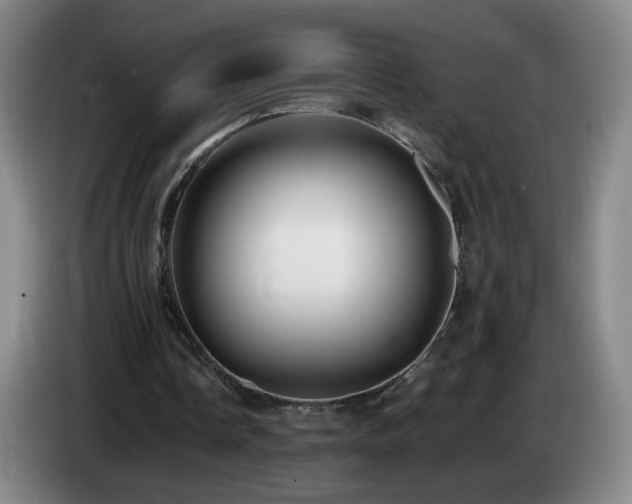 X0000085220338200703091205