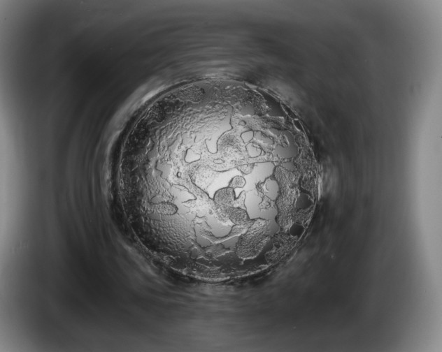 X0000085220339200703091205