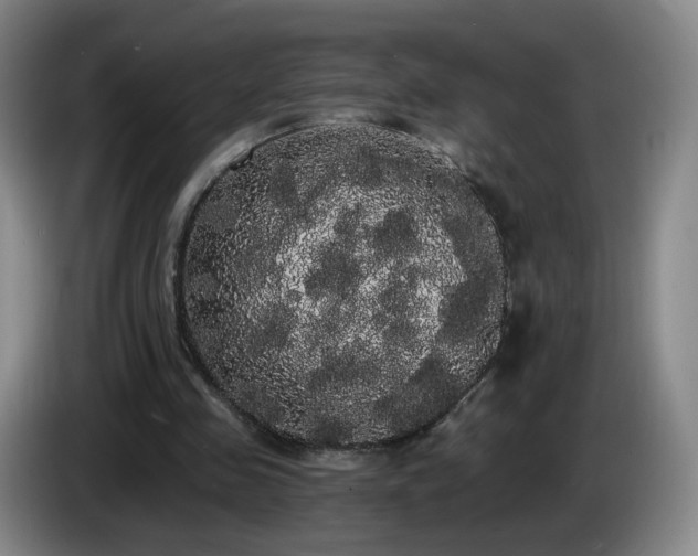 X0000085220341200703091205