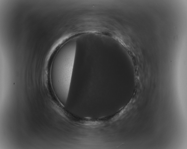 X0000085220342200703091205