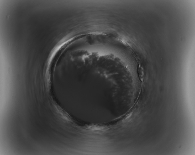 X0000085220343200703091205