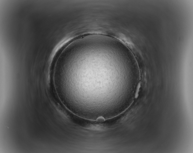 X0000085220344200703091205
