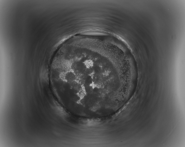 X0000085220345200703091205