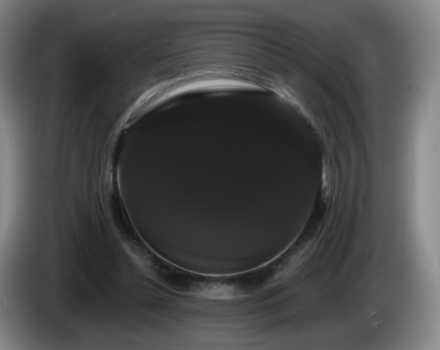 X0000085220348200703091205