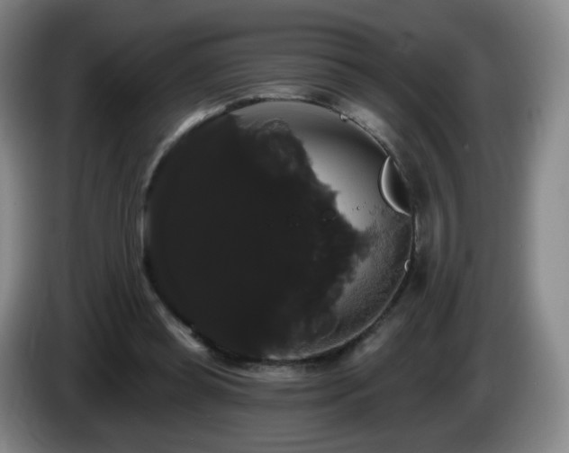 X0000085220349200703091205