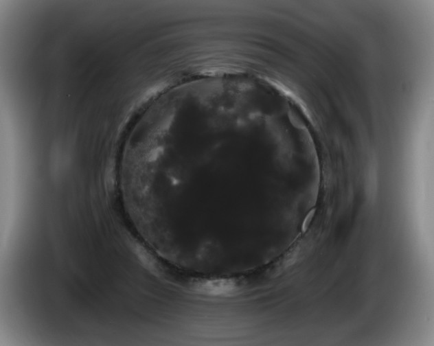 X0000085220353200703091205