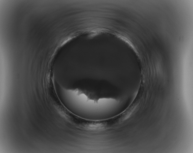 X0000085220357200703091205