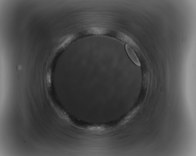 X0000085220358200703091205