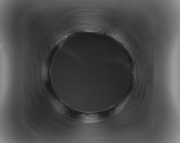 X0000085220359200703091205