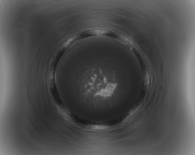 X0000085220360200703091205