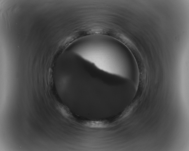 X0000085220361200703091205