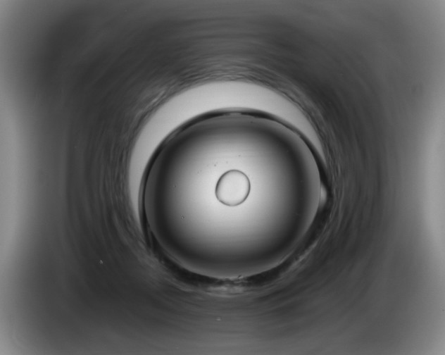 X0000085220362200703091205