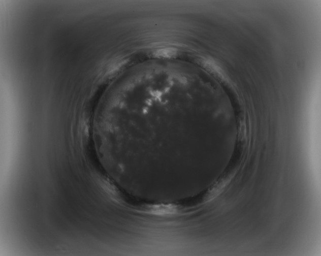 X0000085220363200703091205