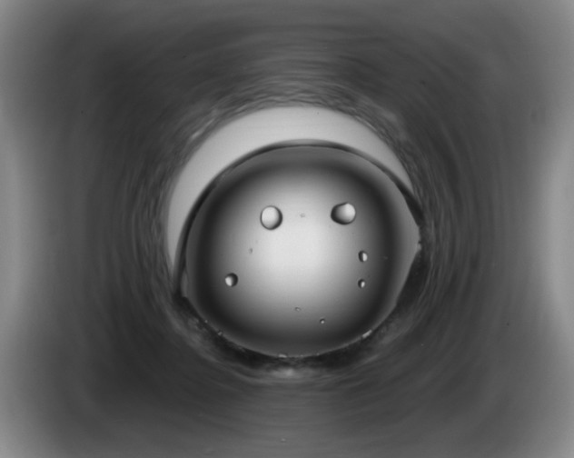 X0000085220364200703091205