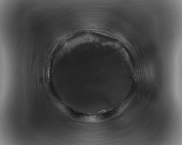 X0000085220365200703091205