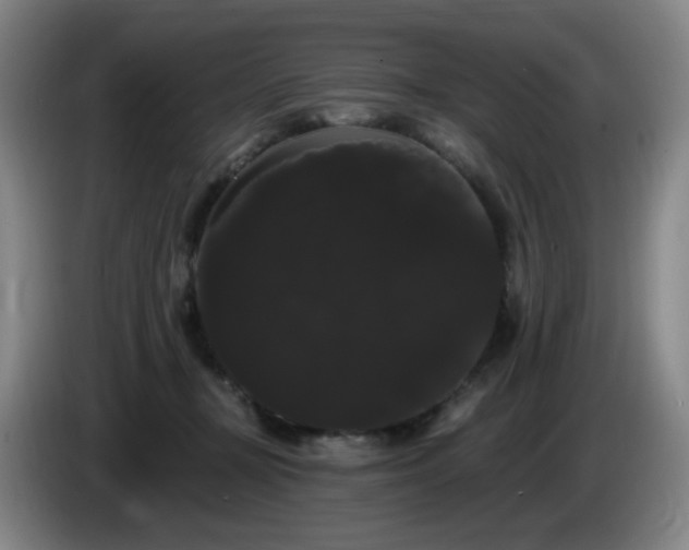 X0000085220367200703091205