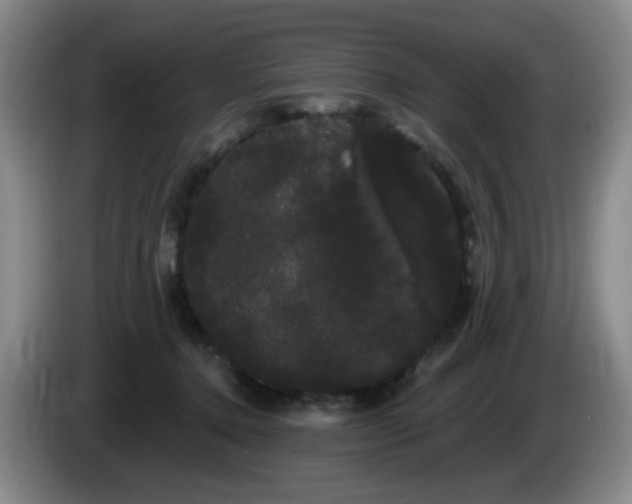 X0000085220368200703091205