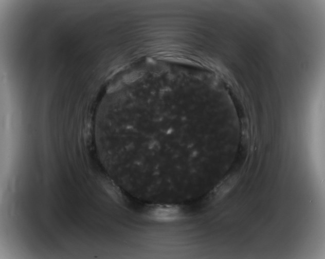 X0000085220369200703091205