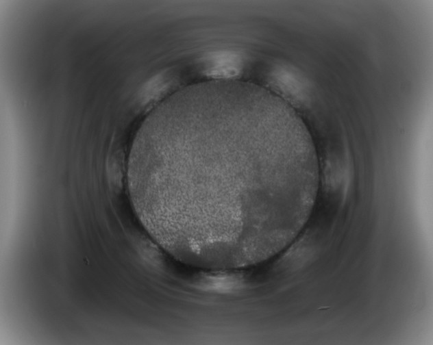 X0000085220370200703091205