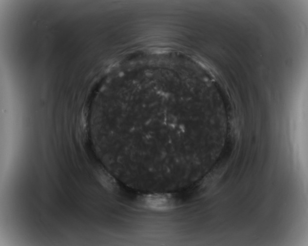 X0000085220373200703091205