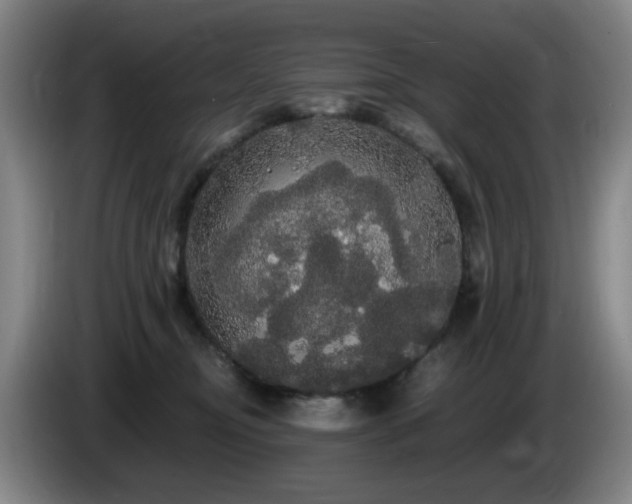 X0000085220374200703091205