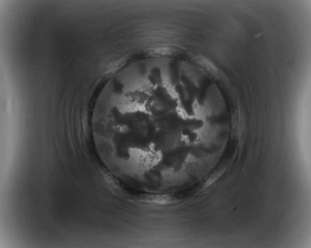 X0000085220377200703091205
