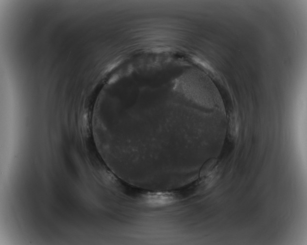 X0000085220378200703091205