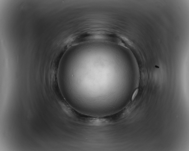 X0000085220379200703091205