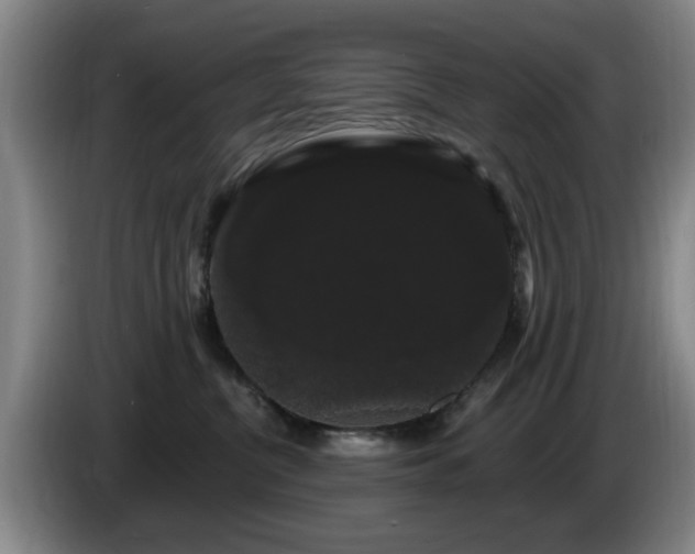 X0000085220380200703091205