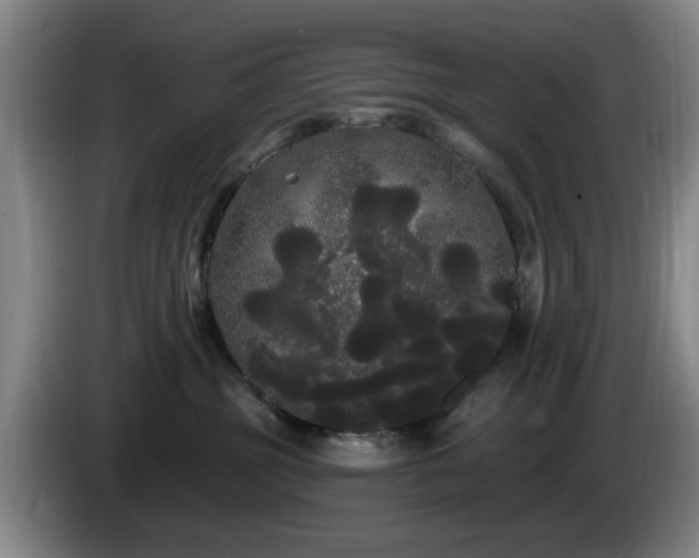 X0000085220381200703091205