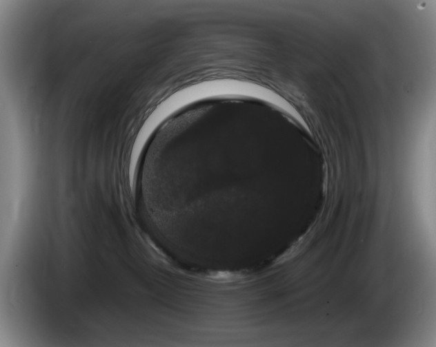 X0000085220382200703091205
