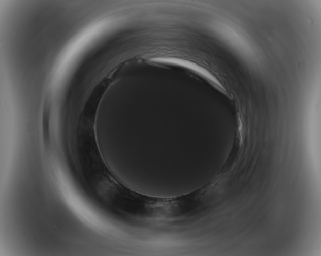 X0000085220383200703091205