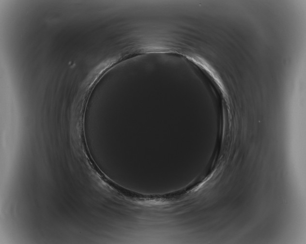 X0000085220385200703091205