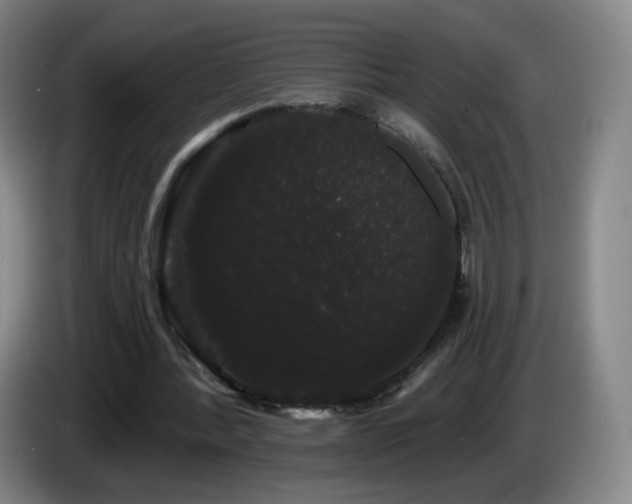 X0000085220388200703091205