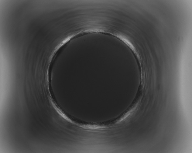 X0000085220389200703091205
