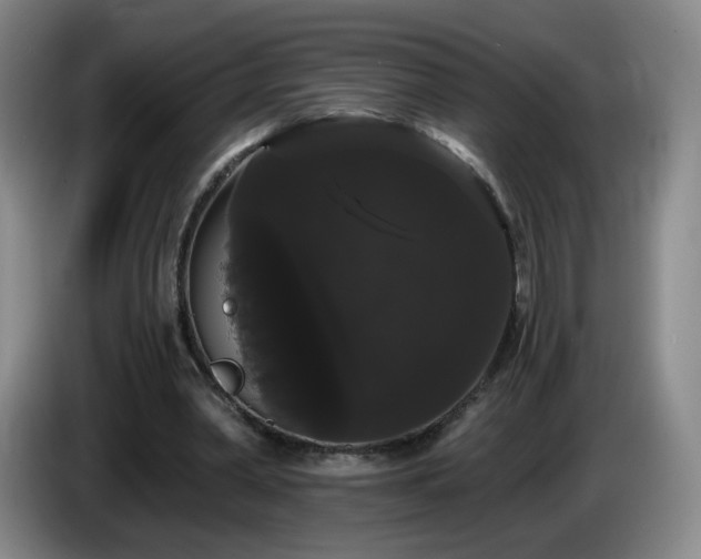 X0000085220390200703091205