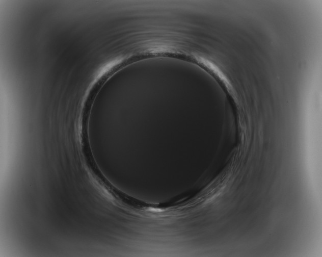 X0000085220391200703091205
