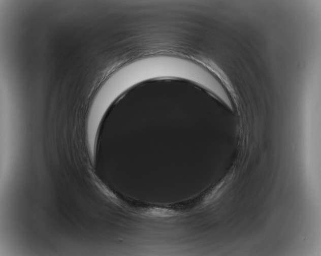 X0000085220393200703091204