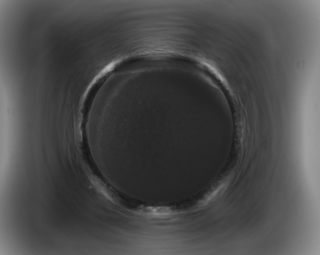 X0000085220395200703091204
