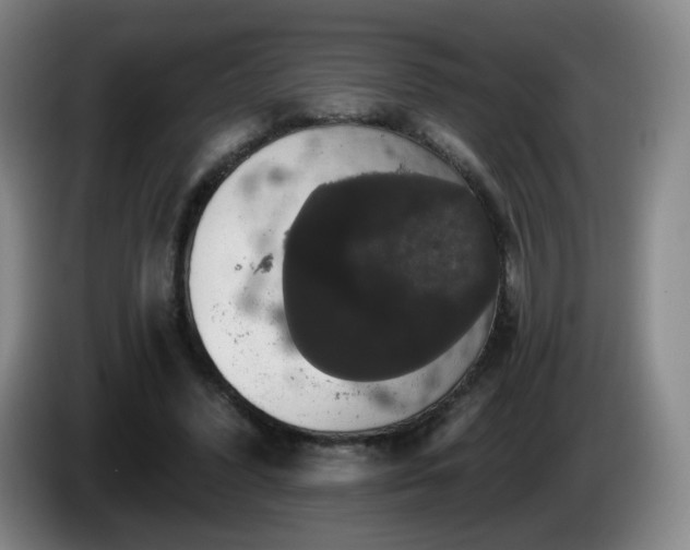 X0000085220396200703091204