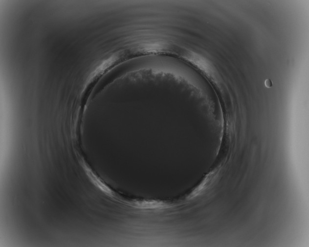 X0000085220397200703091204