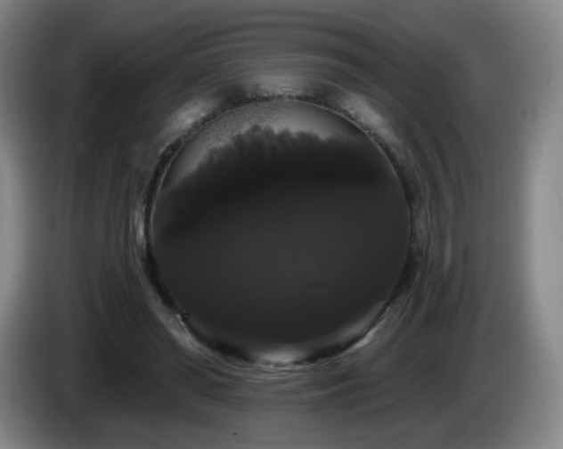X0000085220398200703091204