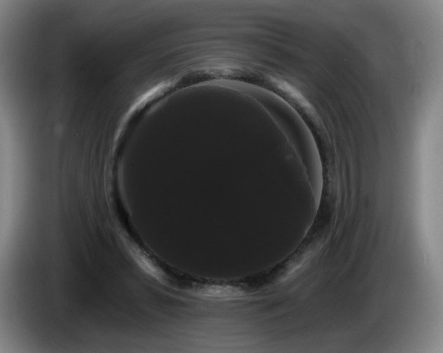 X0000085220399200703091204