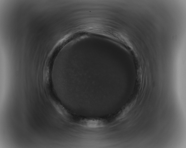 X0000085220400200703091204
