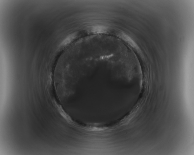 X0000085220401200703091204